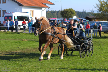 Jennerwein